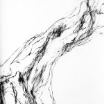 Disegno
