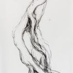 Disegno
