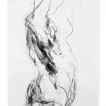 Disegno
